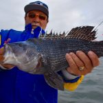 Holding a Black Sea Bass