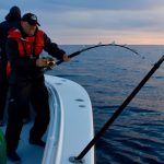 Multiple Fishermen Fishing Tuna