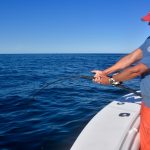 Man Reeling Heavy Bluefin Tuna