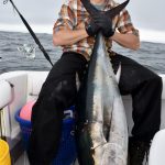 Bluefin Tuna - Medium Catch