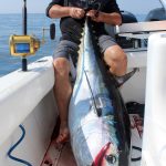 Man Holding Huge Bluefin Tuna