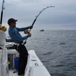 Fisherman Fishing for Cape Cod Tuna