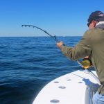 Fisherman Fishing in Cape Cod Waters - Tuna