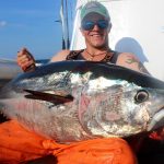 Shiny Cape Cod Tuna