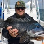 cape cod charter fishing Light Tackle