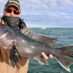 Cape Cod Deep Sea Fishing Black Sea Bass