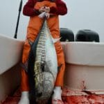cape Cod School Bluefin Tuna Fishing