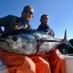 Massachusetts Deep Sea Fishing Bluefin Tuna