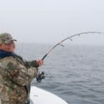 Truro Provincetown Bluefin Tuna Fishing Massachusetts