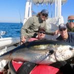 Truro Provincetown Bluefin Tuna Fishing Massachusetts
