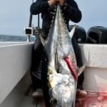 Truro Provincetown Bluefin Tuna Fishing Massachusetts
