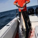 Cape Cod Bluefin Tuna Fishing Bobby Rice