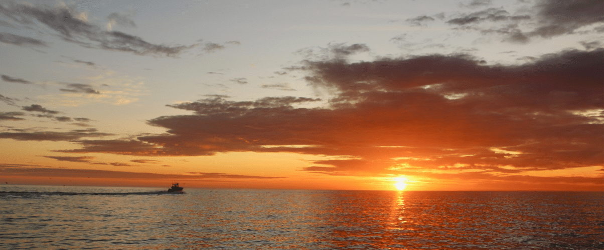 Cape Cod Fishing Charter Sunrise
