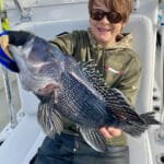 Cape Cod Black Sea Bass Fishing Charters