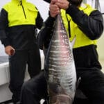 Cape Cod Bluefin Tuna Fishing Charters
