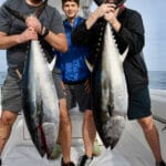 Cape Cod Bluefin Tuna Fishing with Reel Deal