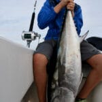 Cape Cod Bluefin Tuna Fishing with Reel Deal