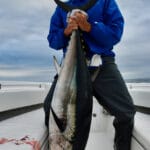 Cape Cod Bluefin Tuna Fishing with Reel Deal