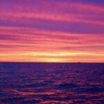 Cape Cod Bluefin Tuna Fishing with Reel Deal