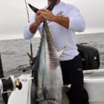 Cape Cod Fishing Charters with Reel Deal for Bluefin Tuna