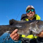 Cape Cod Fishing Report - Tautog
