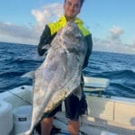 Trophy African Pompano