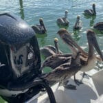 Florida Keys Fishing with Captain Bobby Rice