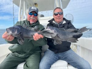 Cape Cod Fishing with Reel Deal for Black Sea Bass