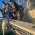 Light Tackle Bluefin Tuna Fishing Cape Cod