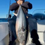 Cape Cod Bluefin Tuna Fishing Charters with Reel Deal