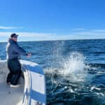 Cape Cod Bluefin Tuna Fishing Charters with Reel Deal