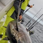 Cape Cod Bluefin Tuna Fishing Charters with Reel Deal