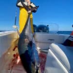 Cape Cod Bluefin Tuna Fishing Charters with Reel Deal