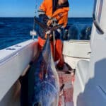 Cape Cod Bluefin Tuna Fishing Charters with Reel Deal
