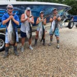 Yellowfin Tuna Fishing