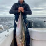 Cape Cod Bluefin Tuna Fishing Charters with Reel Deal
