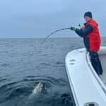 Cape Cod Bluefin Tuna Fishing Charters with Reel Deal