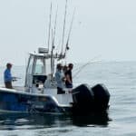 Cape Cod Fly Fishing