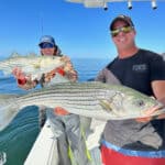 Cape Cod Fishing Charters with Reel Deal for Striped Bass