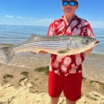 Cape Cod Fishing for Striped Bass