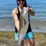 Cape Cod Fishing for Striped Bass