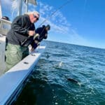 Cape Cod Fishing Charters with Reel Deal