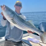 Cape Cod Striped Bass Fishing Charters with Reel Deal