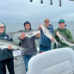 Cape Cod Striped Bass Fishing with Captain Bobby Rice and team
