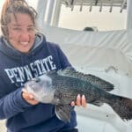 Cape Cod Black Sea Bass Fishing