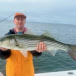 Things To Do on Cape Cod