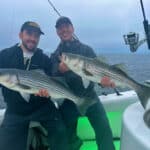 Things To Do on Cape Cod