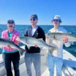 Things To Do on Cape Cod