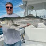 Best Outdoor Activities Cape Cod