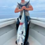 Cape Cod Bluefin Tuna Fishing with Reel Deal